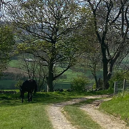 Apartment Wildflower Houlsyke Lealholm