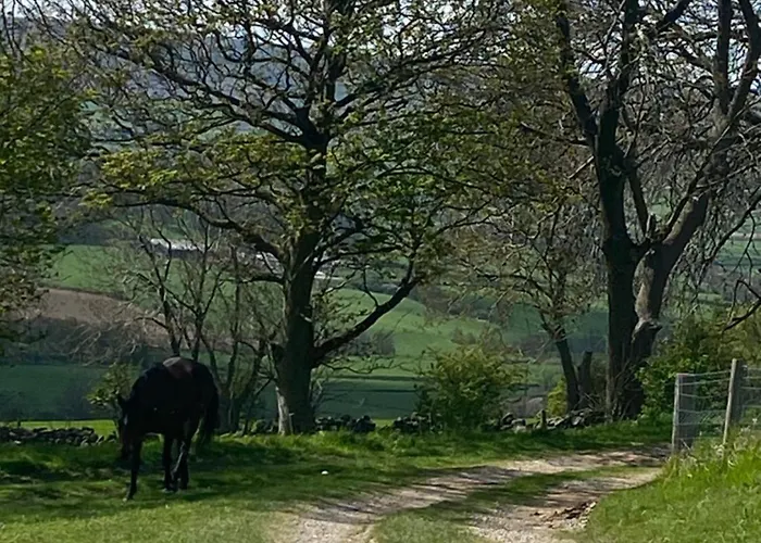 Apartment Wildflower Houlsyke Lealholm