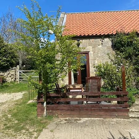 Apartamento Wildflower Houlsyke Lealholm